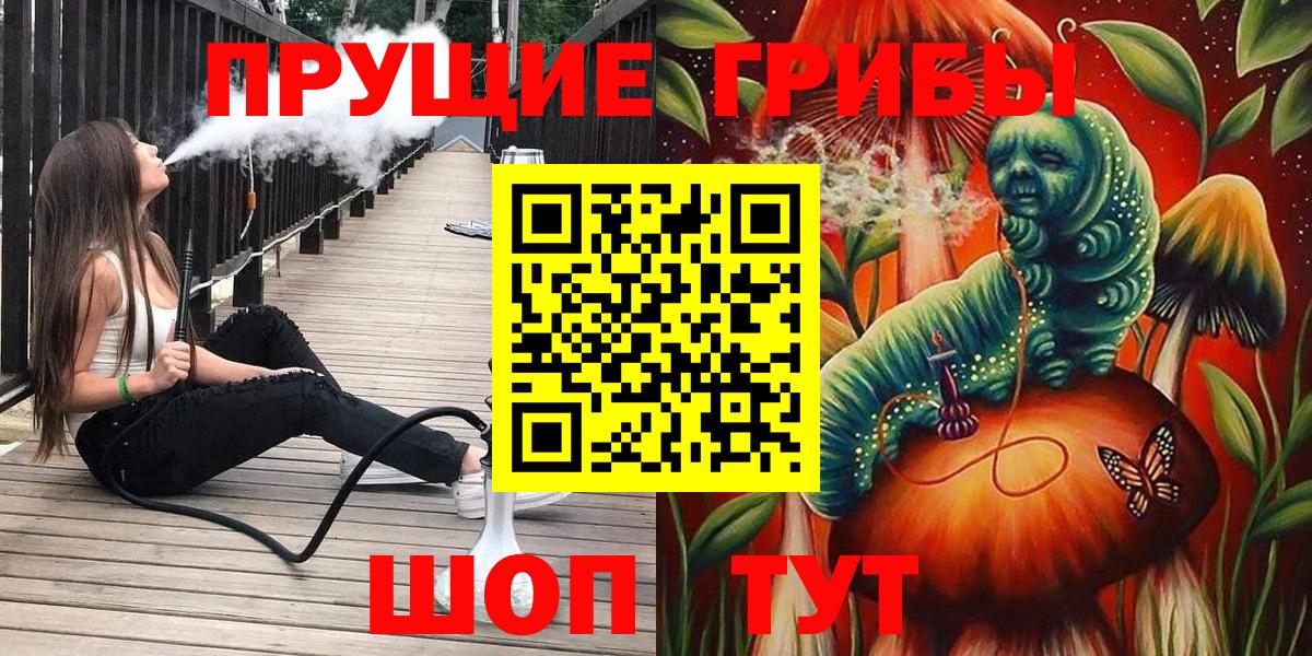 Псилоцибиновые грибы Psilocybine cubensis Отрадный